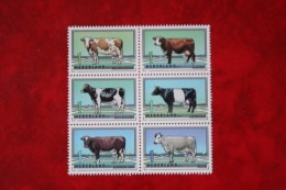 Rundveerassen Koe Cow Kuh Vache NVPH 2973-2978 (Mi 3010-3015) 2012 MNH / POSTFRIS NEDERLAND - Neufs