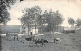 BELGIQUE - Paysage Des Andennes - Virton - Campagne - Vaches Près D'une Ferme - Nels - Carte Postale Ancienne - Virton