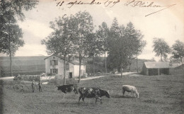 BELGIQUE - Paysage Des Andennes - Virton - Campagne - Vaches Près D'une Ferme - Nels - Carte Postale Ancienne - Virton