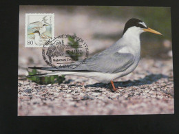 Carte Maximum Card Mouette Gull Allemagne Germany 1992 (Rheda) - Möwen