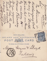 NEW ZEALAND 1895 POSTCARD SENT FROM PALWERSTON - Storia Postale