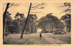 Le Gavre * La Forêt * Ici On Goûte La Joie De Vivre En Paix * Chasse à Courre Vénerie - Le Gavre