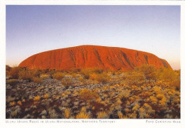 AK 186981 AUSTRALIA - Uluru (Ayers Rock) Im Uluru-Nationalpark - Uluru & The Olgas