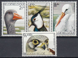 AVE023 - Belgiu1972 (MNH) (Mi 1706-1709) - Anser Anser...falco Peregrinus.jpg - Verzamelingen, Voorwerpen & Reeksen