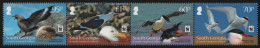 Süd-Georgien 2012 - Mi-Nr. 560-563 ** - MNH - Vögel / Birds (II) - Südgeorgien