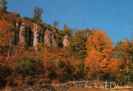 CPM - Photo Francis DEBAISIEUX - Les ORGUES De BORT (Corrèze)... - Limousin