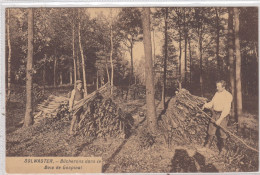 Solwaster. Bucherons Dans Le Bois De Gospinal. * - Jalhay