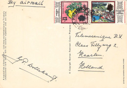 TRINIDAD & TOBAGO - PICTURE POSTCARD 1973 - HAARLEM/NL /1361 - Trinité & Tobago (1962-...)