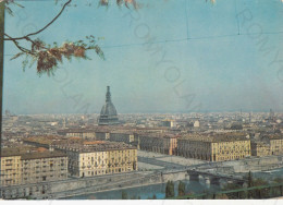 CARTOLINA  TORINO,PIEMONTE-LUCI E COLORI D'ITALIA-STORIA,MEMORIA,CULTURA,RELIGIONE,IMPERO,BELLA ITALIA,VIAGGIATA 1960 - Panoramic Views