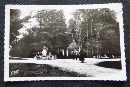 44 -  FORET  DU GAVRE  -  LE ROND-POINT  SCENE DE CHASSE - Le Gavre