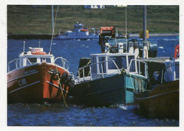 AK 187549 IRELAND - Valentina Island - Co. Kerry - Kerry