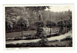 Ansichtskarte Augustusbad- Schwanenteich Aus Dem Jahr 1938 Ortstempel Augustusbad über Radeberg Sonderstempel - Radeberg