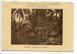 ILES FIDJI Foret Banaiers Et Cocotiers  Oceanie Centrale  1930  D09 2021 - Fiji