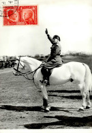 Mussolini Pferd Foto AK I-II - War 1939-45