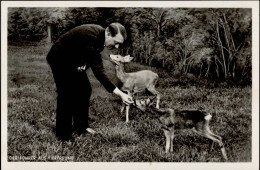 Hitler Der Führer Als Tierfreund PH Foto-AK 1934 I-II - War 1939-45