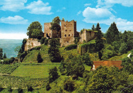 1 AK Germany Baden-Württemberg * Die Ruine Schauenburg Das Wahrzeichen Von Oberkirch - Sie Ist Aus Dem 11. Jh. * - Oberkirch