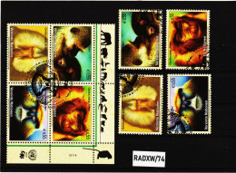 RADXW/74 VEREINTE NATIONEN UNO WIEN 2007  MICHL 485/88 SATZ  + VIERERBLOCK  Gestempelt Siehe ABBILBUNG - Used Stamps