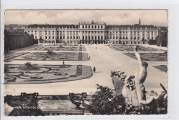 POSTCARD 2374,Austria,Vienna - Schloss Schönbrunn