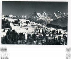 Beatenberg Waldegg Schreckhorn Finsteraarhorn Eiger MÃ¶nch Jungfrau  ( Format 14 X 9 Cm  )( Recto Verso ) - Wald