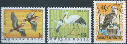 Hungary,MAGYAR - Birds - Fenicotteri