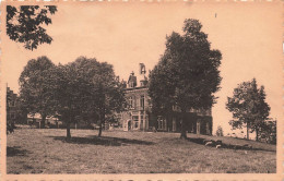 BELGIQUE - Anhée - Château De Senenne - Carte Postale Ancienne - Anhee