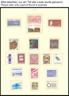SAMMLUNGEN, LOTS 767-1233 , 1983-1999, Postfrisch Komplett Auf Seiten, Dazu MH 42-44, Pracht - Verzamelingen