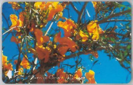 PHONE CARD- OMAN (E28.32.8 - Oman