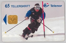 PHONE CARD- NORVEGIA (E23.17.4 - Norvège
