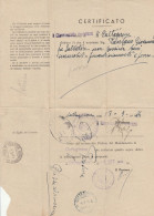 CERTIFICATO 1944  TIMBRO CALTAGIRONE PIAZZA ARMMERINA ENNA (RY4621 - Occ. Anglo-américaine: Sicile