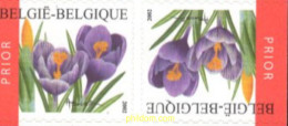 719440 MNH BELGICA 2002 FLORES - Sonstige & Ohne Zuordnung