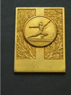 Médaille De Gymnastique - Poutre - F.F.C   Comité Ile De France  *** EN ACHAT IMMEDIAT *** - Gymnastics