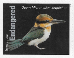 USA 2023 MiNr. 6064ba  Endangered Species Birds The Guam Kingfisher (Todiramphus Cinnamominus) 1v MNH **  1.40 € - Neufs