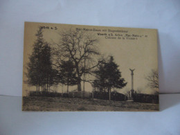 WORTH A S. MAC MAHON BAUM MIT SIEGESDENKMAL WOERTH S/S ARBRE MAC MAHO ET COLONNE DE LA VICTOIRE 67 BAS RHIN CPA - Wörth