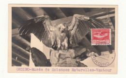 Andorra / Birds / Express Stamps / Maximum Cards - Sonstige & Ohne Zuordnung