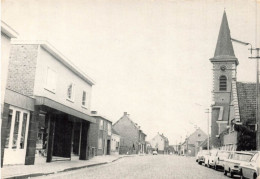 BELGIQUE - Lokeren - Doorslaar - Vue Sur Une Partie Du Village - Carte Postale Ancienne - Lokeren