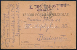 1916 Levelezőlap "SÓVÁRAD-BALÁZSFALVA / 266 SZ." Mozgóposta Bélyegzéssel - Autres & Non Classés