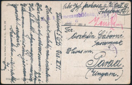 1918 Tábori Posta Képeslap "FP 564" - Other & Unclassified