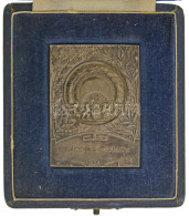 Pincés Puder István (1907- ?) 1933. "Budapest Sport Egyesület Jubiláris Érme - BSE 1913-1933" Ezüstözött Bronz Díjplaket - Unclassified