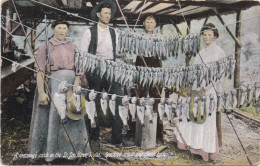 A Morning's Catch On The St Joe River - Idago - Speckled Trout And Black Bass - Other & Unclassified