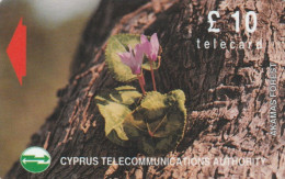 PHONE CARD CIPRO (CK5812 - Cyprus