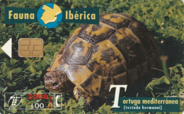PHONE CARD SPAGNA FAUNA IBERICA (CK7064 - Basisausgaben