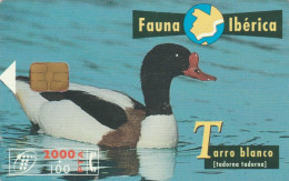 PHONE CARD SPAGNA FAUNA IBERICA (CK7206 - Basisausgaben