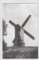 Geluveld. Cichoreimolen. * - Zonnebeke