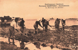 FRANCE - Marennes - Etablissement Ostréicole - Fernand Sainteau - Le Ratissage Des Huîtres - Carte Postale Ancienne - Marennes