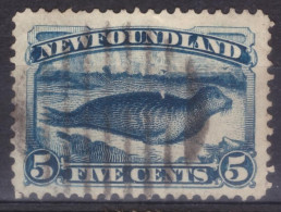 New Foundland  - Five Cents  (ZSUKKL-0034) - 1857-1861