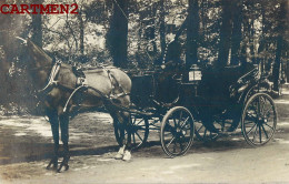 CARTE PHOTO : TAXI PARISIEN FIACRE ATTELAGE COCHER CHAUFFEUR DE MAITRE PARIS  - Taxis & Cabs