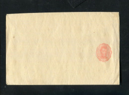 "ARGENTINIEN" 1878, Streifband Ascher Nr. 1 ** (4310) - Ganzsachen