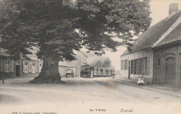 1 Oude Postkaart ZOERSEL  Stoomtram   Zicht In 't Dorp  1903  Uitg.Hoelen - Zoersel