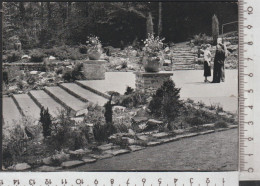 Bad Lausick- Herrmannsbad - Steingartenterrasse- Nicht Gelaufen  ( AK 4318 ) Günstige Versandkosten - Bad Lausick