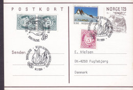Norway Uprated Postal Stationery Ganzsache Beaver Sonderstempel OLYMPISKE VINTERLEKER FAUSKE 1994 Olympic Games - Entiers Postaux